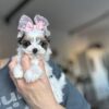 Rosie