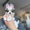 Rosie